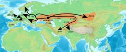 Yamnaya-related migrations.jpg