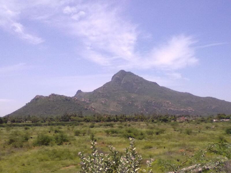 File:A view of Thiruvanamalai Mountain..jpg