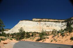 Cross-bedded Navajo Sandstone (Lower Jurassic), Checkerboad Mesa, White Cliffs, Zion National Park, sw Utah 2.jpg
