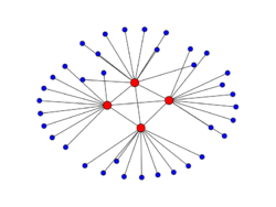 Disassortative network demonstrating the Rich Club effect.png