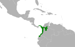 Euphonia fulvicrissa map.svg