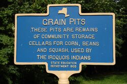 Sign with raised letters reading, "Grain Pits. These pits are remains of community storage cellars for corn, beans and squash. Used by the Iroquois Indians. State Education Department 1935"