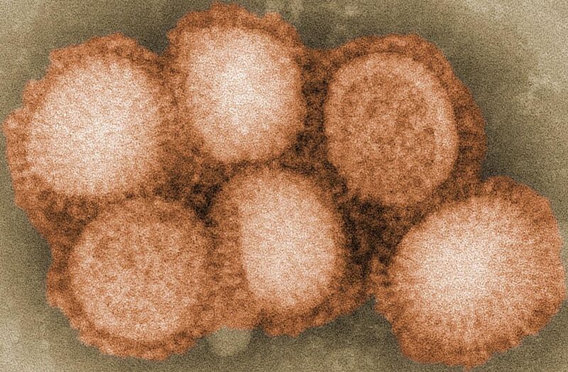 File:H1N1 navbox.jpg