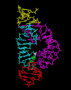 Hammerhead ribozyme ribbons.png