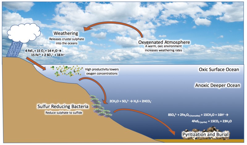 File:How oceans become euxinic.png