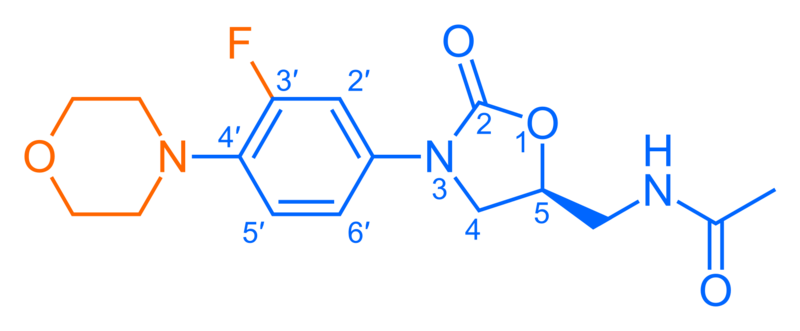 File:Linezolid showing oxazolidinone pharmacophore.svg