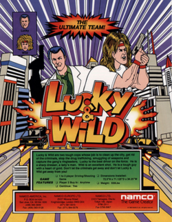 Lucky and wild arcadeflyer.png