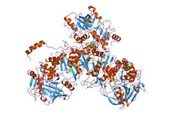 PDB 2idb EBI.jpg