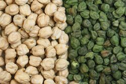 The two main types of chickpea: the larger light tan kabuli and variously coloured desi chickpea. They are green when picked early and vary through tan or beige, speckled, dark brown to black. 75% of world production is of the smaller desi type.