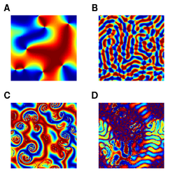 Spatial synchronization patterns in variants of the Kuramoto Model.png