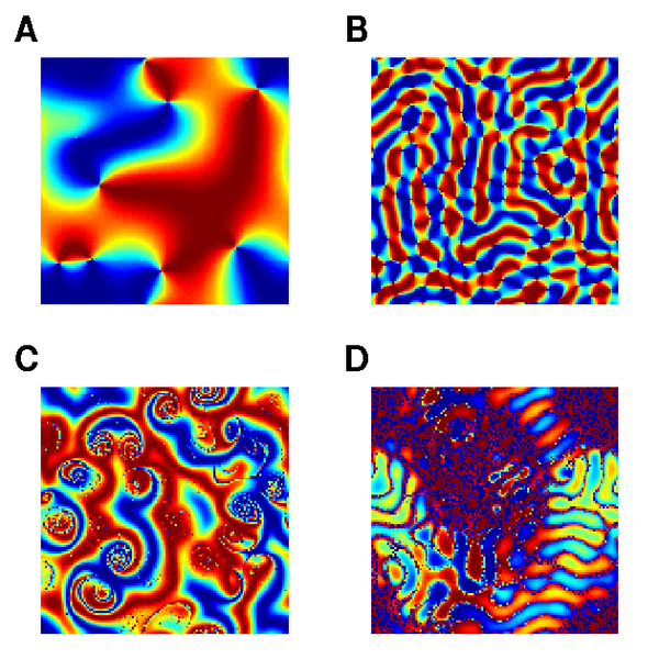 File:Spatial synchronization patterns in variants of the Kuramoto Model.png