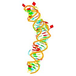 RNA aptamer Spinach. PDB: 4KZD