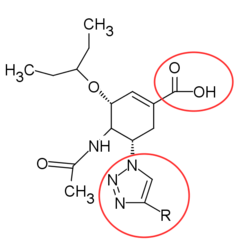 Trizole-containing carbocycles analogue.png