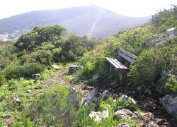 Tygerberg Nature Reserve - City of Cape Town 5.jpg