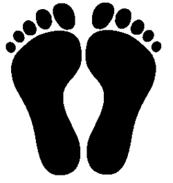 2 parallel footprints.png