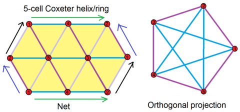 5-cell 5-ring net.png