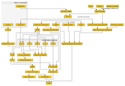 Acne Pathogenesis Medscape.png