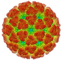 Cryoelectron microscopy reconstruction of "Chikungunya virus". From EMDB entry EMD-5577