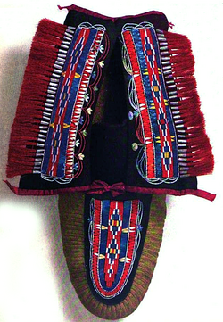 Huron Moccasin.png