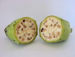Photo of two cross-sectional halves of seed-filled fruit.