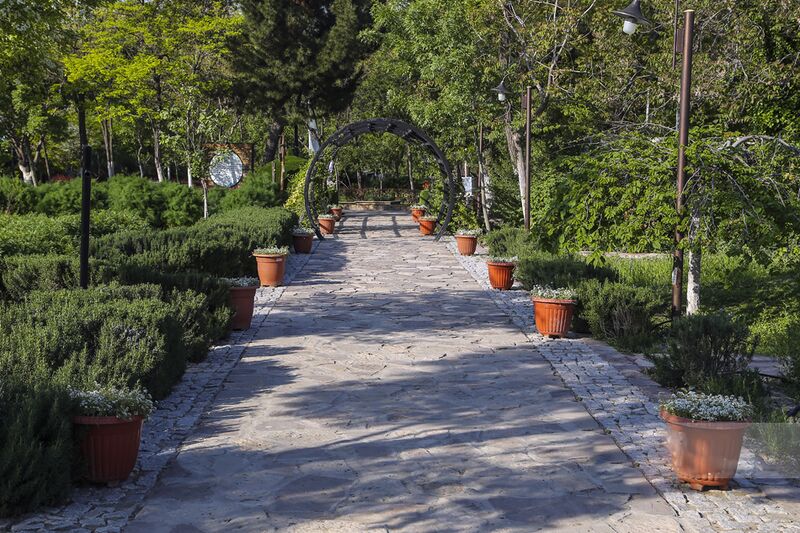 File:Mashhad botanic garden 20190520 05.jpg