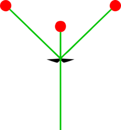 Monochasium(inflorescence).svg