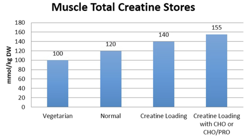 File:Muscle Total Creatine Stores.png