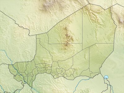 Niger relief location map.jpg