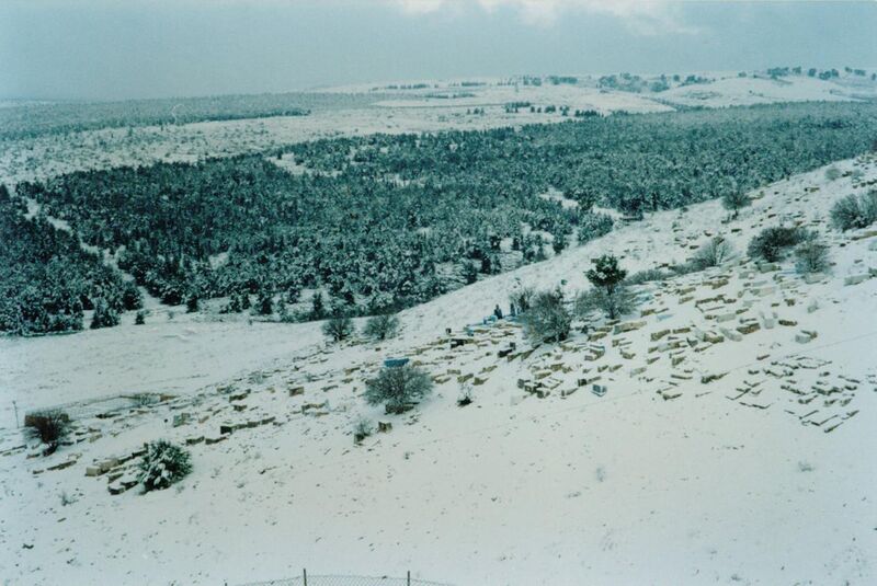 File:PikiWiki Israel 11324 The city wore white.jpg