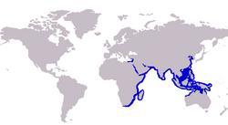 S. sihama distribution.PNG