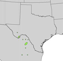 Yucca rostrata range map.png