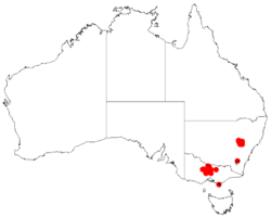 Acacia ausfeldiiDistMap89.png