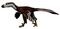 Acheroraptor NT small.jpg