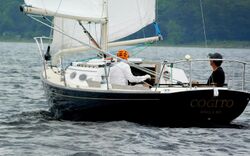 Alerion Express 28 sailboat Cogito 5377.jpg