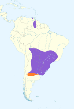 Alopochelidon fucata map.svg