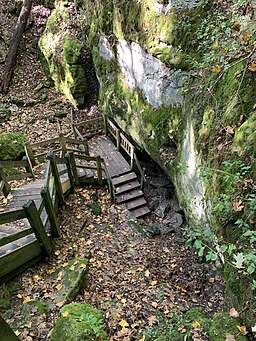 Devil’s Icebox stairs.jpg