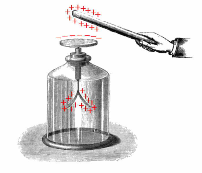 File:Electroscope showing induction.png