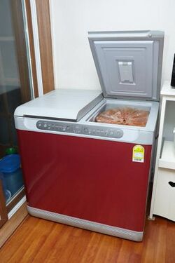 Kimchi refrigerator.jpg
