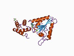 PDB 1d2n EBI.jpg