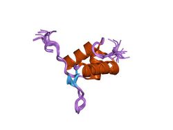 PDB 2j5o EBI.jpg