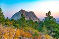 Pine Valley Peak, Utah.jpg