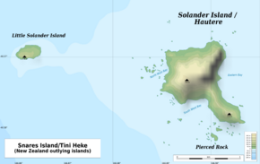 Solander Islands New Zealand geographic map en.svg