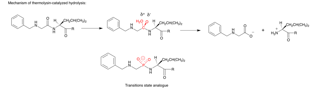 Transitions state analogue example 2