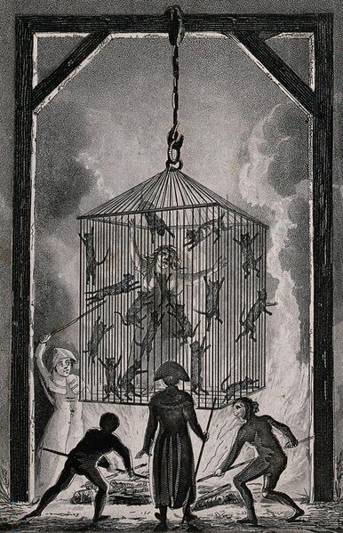 File:The burning of Louisa Mabree, the French midwife in a cage f Wellcome V0041811.jpg
