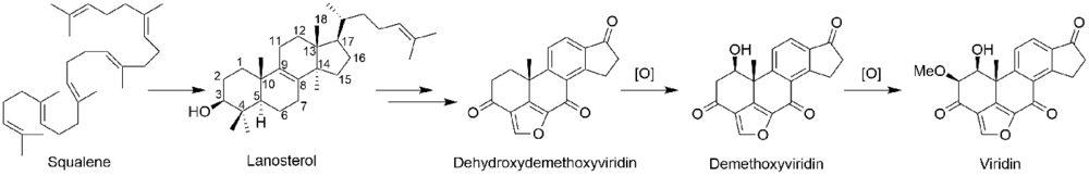 Viridin Biosynthesis.png