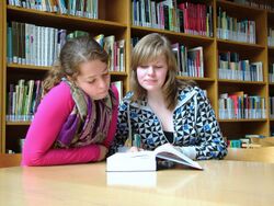 Two teenagers engage in joint attention by reading a book.