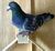 A homing pigeon.jpg