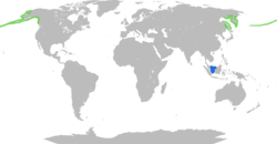 Aleutian Tern Distribution.png