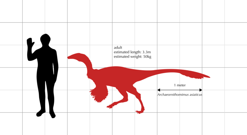 File:Archaeornithomimus size.png