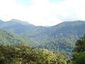 Blue mountains sabarimala kerala - panoramio.jpg